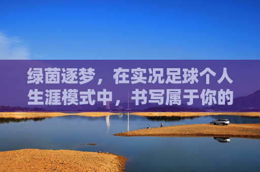 绿茵逐梦，在实况足球个人生涯模式中，书写属于你的传奇