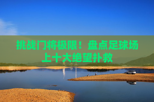 挑战门将极限！盘点足球场上十大绝望扑救