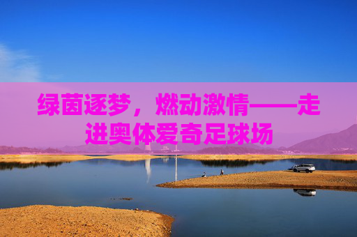 绿茵逐梦,燃动激情——走进奥体爱奇足球场
