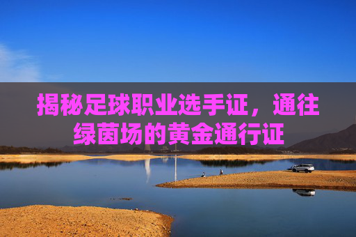 揭秘足球职业选手证,通往绿茵场的黄金通行证