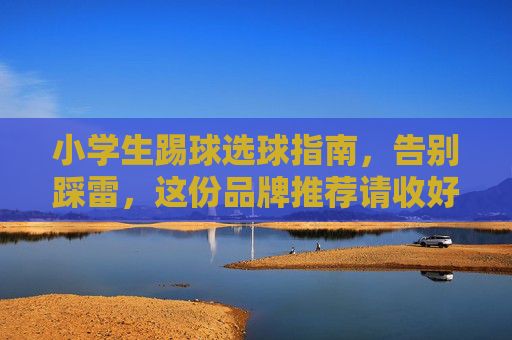 小学生踢球选球指南，告别踩雷，这份品牌推荐请收好！
