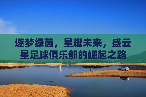 逐梦绿茵，星耀未来，盛云星足球俱乐部的崛起之路