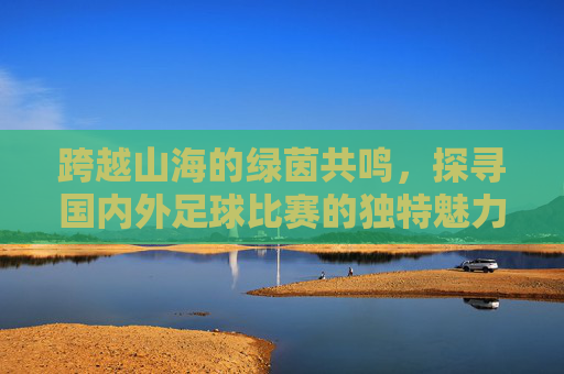 跨越山海的绿茵共鸣，探寻国内外足球比赛的独特魅力