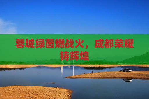 蓉城绿茵燃战火,成都荣耀铸辉煌