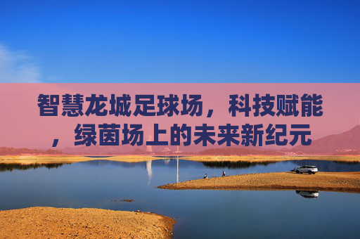 智慧龙城足球场，科技赋能，绿茵场上的未来新纪元