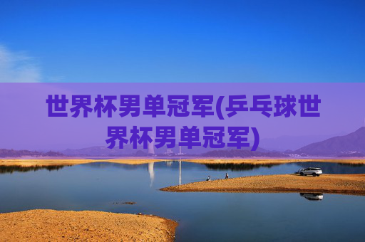 世界杯男单冠军(乒乓球世界杯男单冠军)