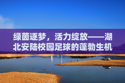 绿茵逐梦，活力绽放——湖北安陆校园足球的蓬勃生机