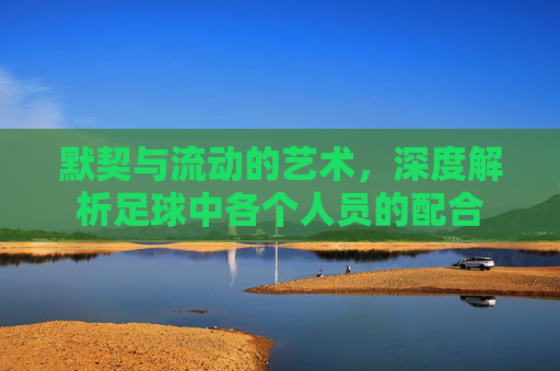 默契与流动的艺术，深度解析足球中各个人员的配合