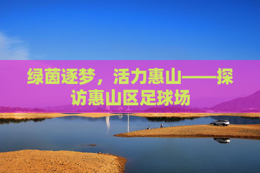 绿茵逐梦，活力惠山——探访惠山区足球场
