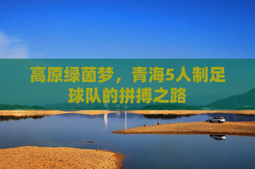 高原绿茵梦,青海5人制足球队的拼搏之路