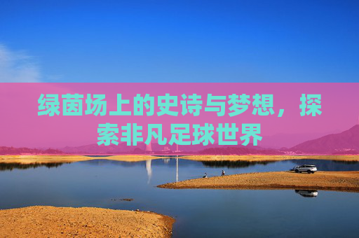 绿茵场上的史诗与梦想,探索非凡足球世界