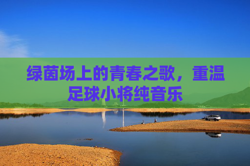 绿茵场上的青春之歌，重温足球小将纯音乐