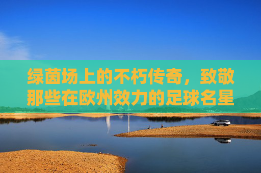 绿茵场上的不朽传奇,致敬那些在欧州效力的足球名星