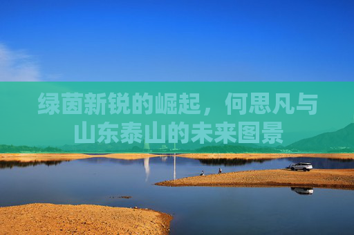 绿茵新锐的崛起,何思凡与山东泰山的未来图景