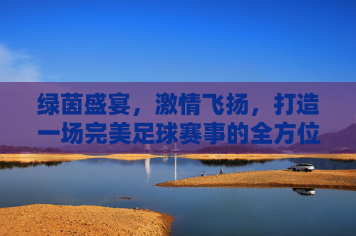 绿茵盛宴，激情飞扬，打造一场完美足球赛事的全方位策划指南
