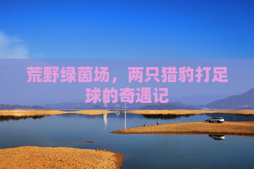 荒野绿茵场,两只猎豹打足球的奇遇记