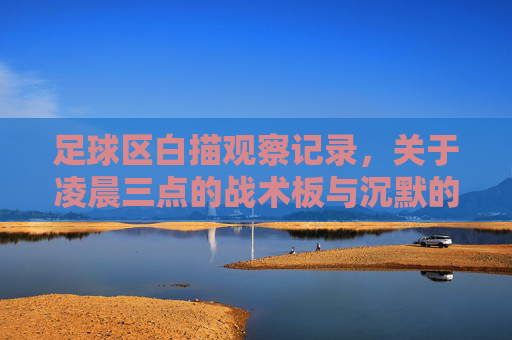 足球区白描观察记录，关于凌晨三点的战术板与沉默的信号灯