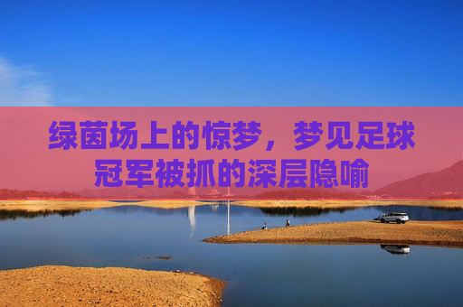 绿茵场上的惊梦,梦见足球冠军被抓的深层隐喻