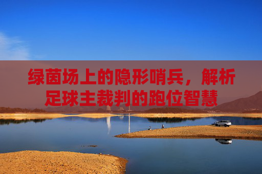 绿茵场上的隐形哨兵,解析足球主裁判的跑位智慧