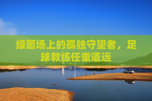 绿茵场上的孤独守望者,足球教练任重道远