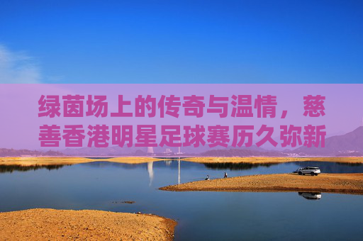 绿茵场上的传奇与温情，慈善香港明星足球赛历久弥新