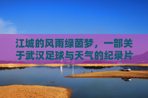 江城的风雨绿茵梦,一部关于武汉足球与天气的纪录片