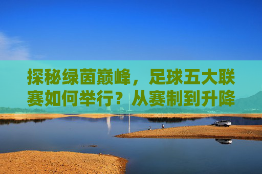 探秘绿茵巅峰,足球五大联赛如何举行?从赛制到升降级的全解析