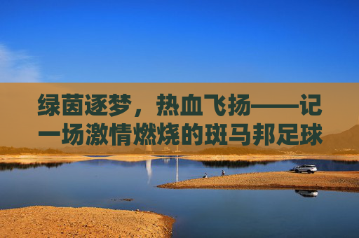 绿茵逐梦，热血飞扬——记一场激情燃烧的斑马邦足球赛