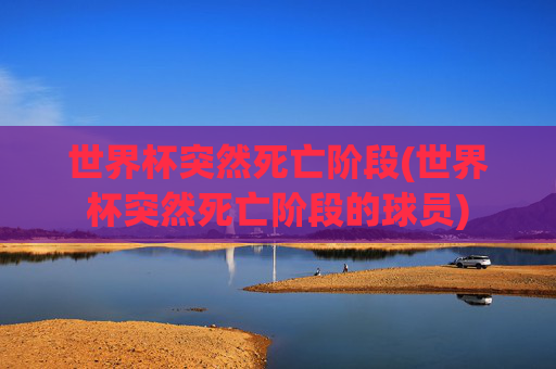 世界杯突然死亡阶段(世界杯突然死亡阶段的球员)