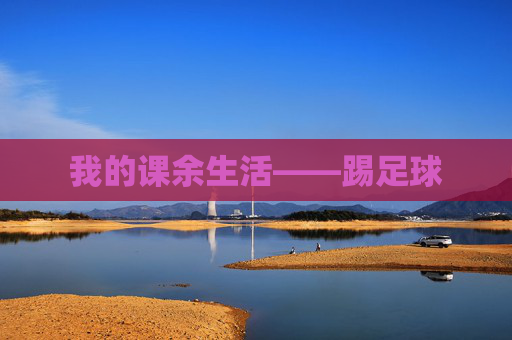 我的课余生活——踢足球