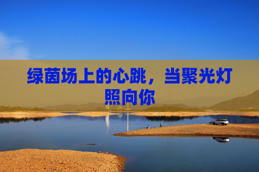绿茵场上的心跳，当聚光灯照向你