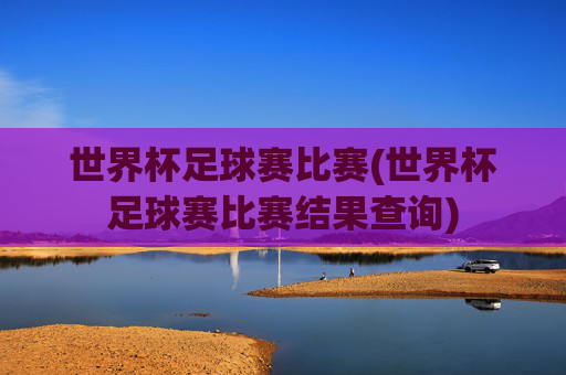 世界杯足球赛比赛(世界杯足球赛比赛结果查询)