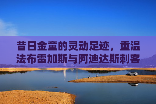 昔日金童的灵动足迹,重温法布雷加斯与阿迪达斯刺客的巅峰岁月