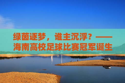 绿茵逐梦，谁主沉浮？——海南高校足球比赛冠军诞生记