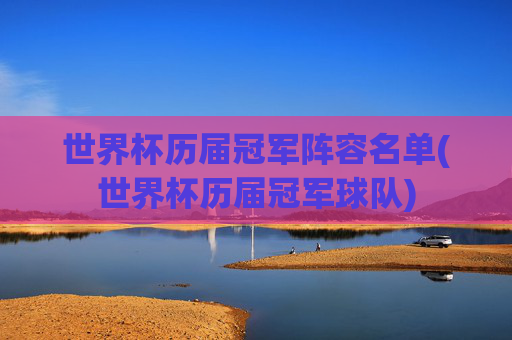 世界杯历届冠军阵容名单(世界杯历届冠军球队)