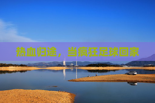 热血归途,当疯狂足球回家
