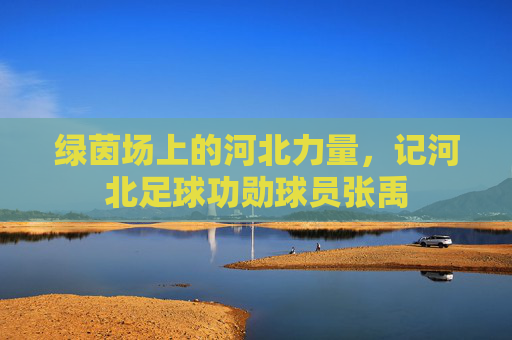 绿茵场上的河北力量,记河北足球功勋球员张禹