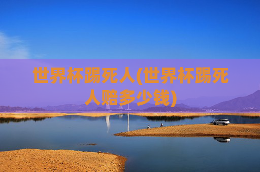 世界杯踢死人(世界杯踢死人赔多少钱)
