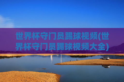 世界杯守门员踢球视频(世界杯守门员踢球视频大全)