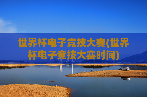 世界杯电子竞技大赛(世界杯电子竞技大赛时间)