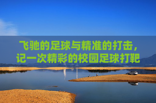 飞驰的足球与精准的打击,记一次精彩的校园足球打靶游戏