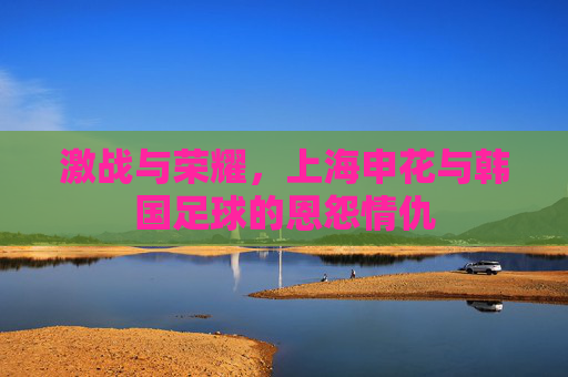 激战与荣耀,上海申花与韩国足球的恩怨情仇