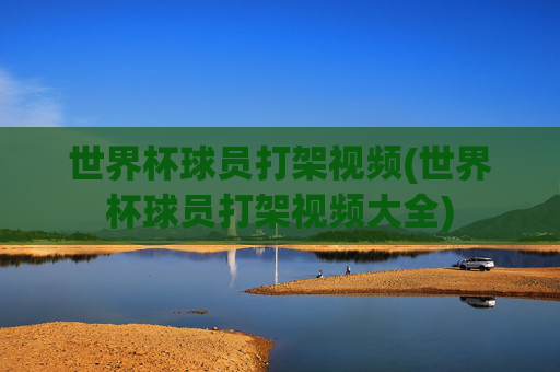 世界杯球员打架视频(世界杯球员打架视频大全)