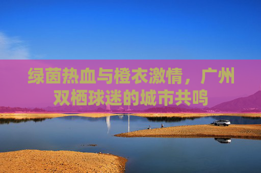 绿茵热血与橙衣激情,广州双栖球迷的城市共鸣
