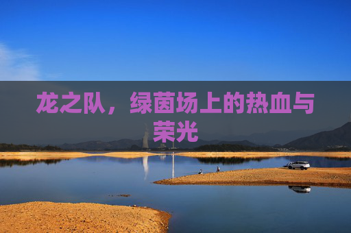 龙之队,绿茵场上的热血与荣光