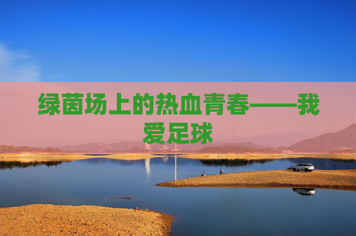 绿茵场上的热血青春——我爱足球