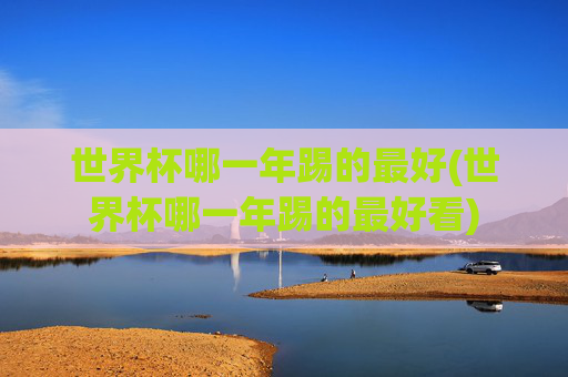 世界杯哪一年踢的最好(世界杯哪一年踢的最好看)