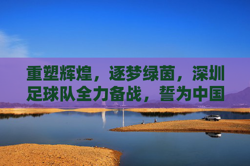 重塑辉煌,逐梦绿茵,深圳足球队全力备战,誓为中国足球再添光彩