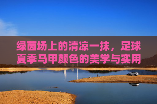 绿茵场上的清凉一抹,足球夏季马甲颜色的美学与实用指南