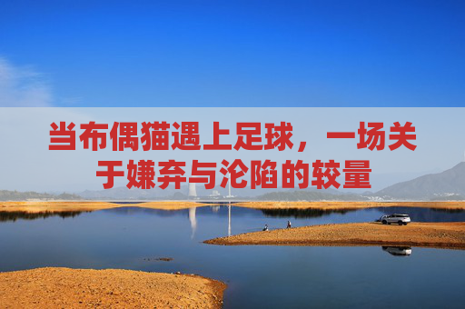 当布偶猫遇上足球，一场关于嫌弃与沦陷的较量